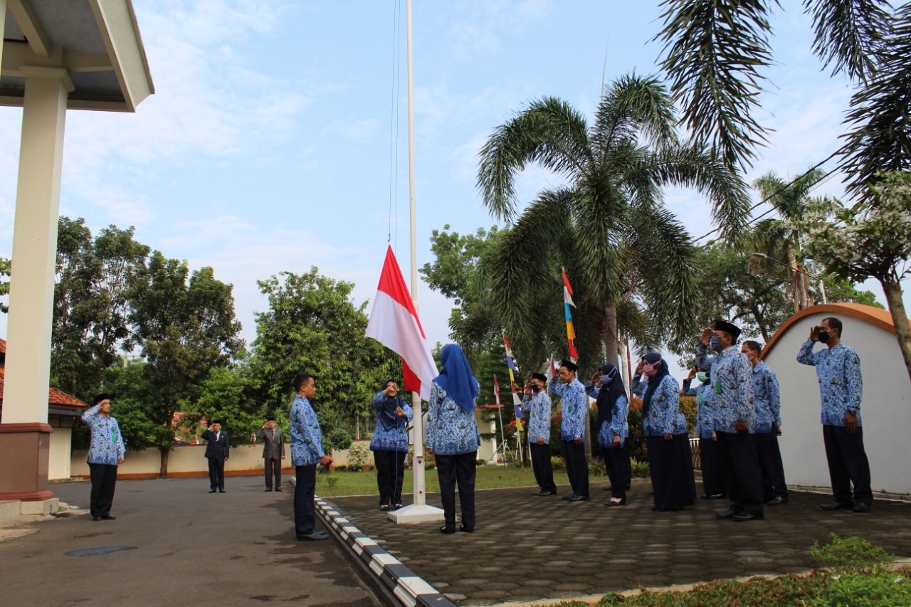 Upc 17.8 2